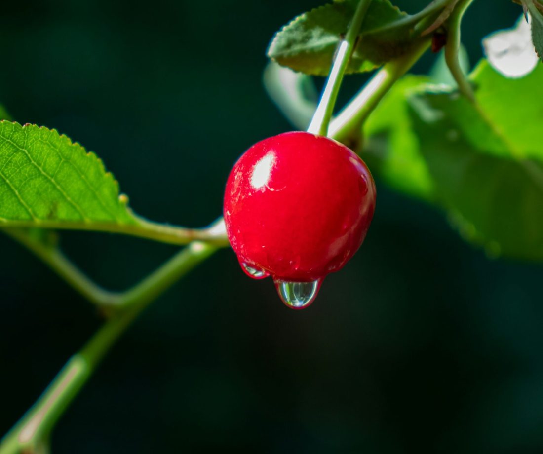 amir-jalili-w5pH76yghUw-unsplash